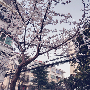 刘玥最猛的一次做爰
